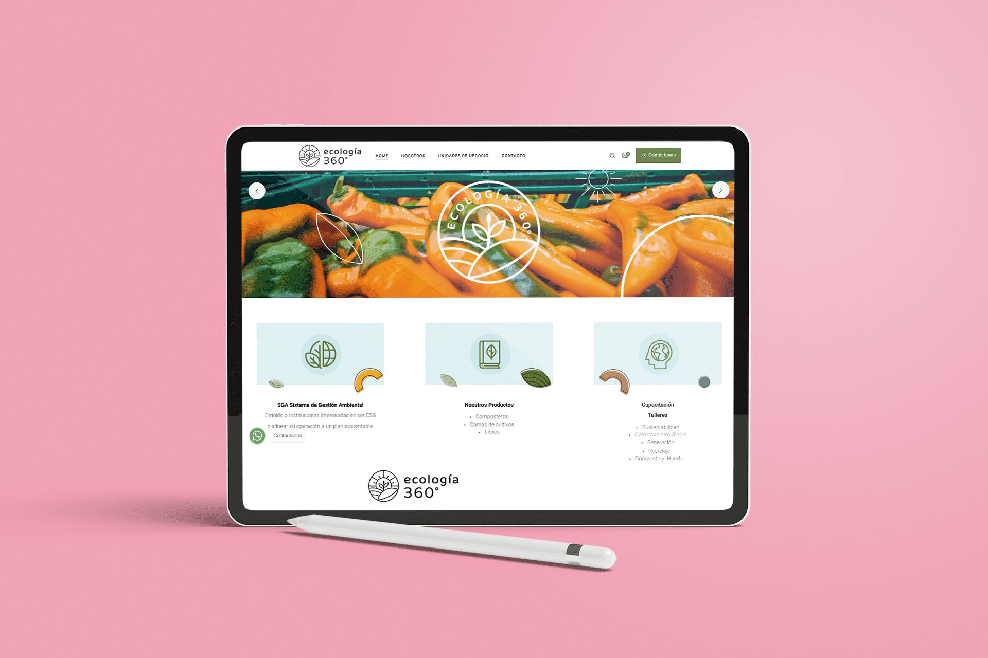 Web y diseño Ecología 360