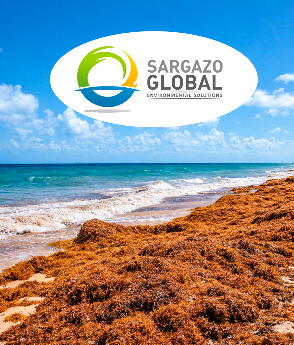 Sitio Web Sargazo Global